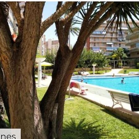 Apartamento Entero En La Playa San Juan Benacantil لقنت المظهر الخارجي الصورة