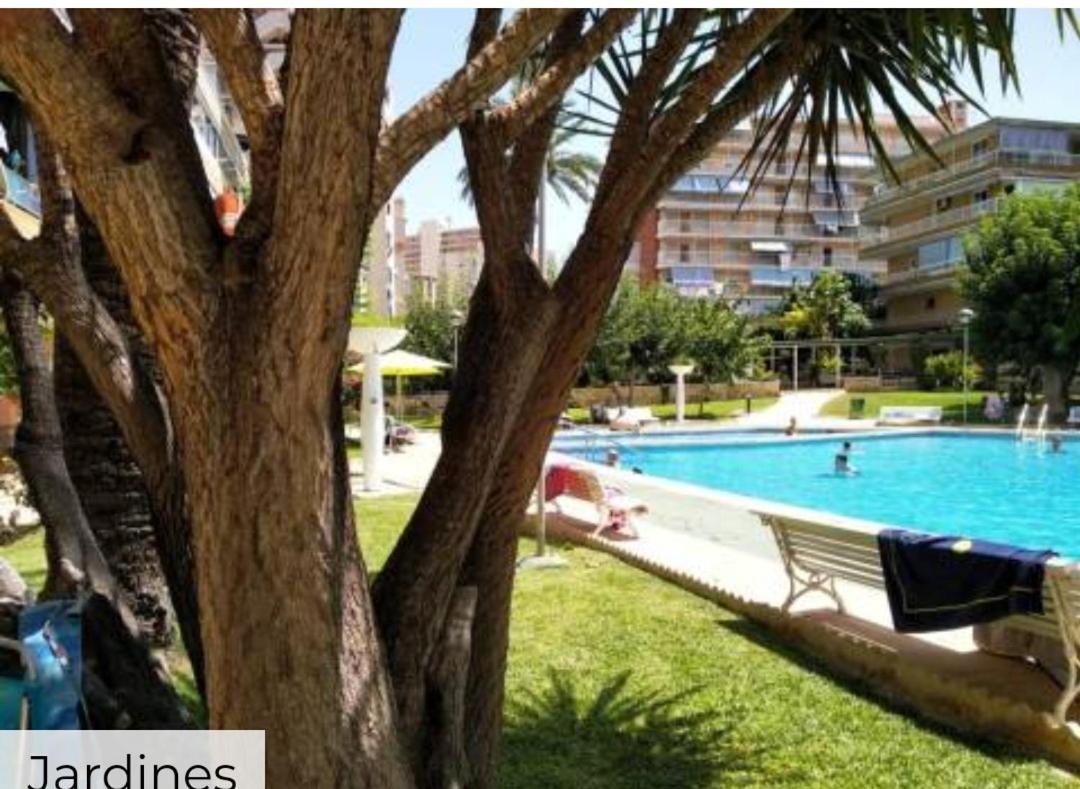 Apartamento Entero En La Playa San Juan Benacantil لقنت المظهر الخارجي الصورة